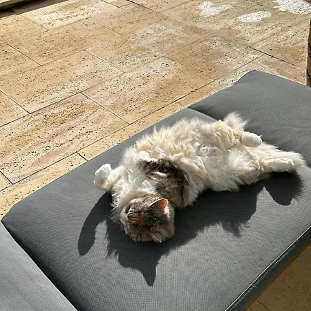 Mar - Parede-cascais Гостевой дом