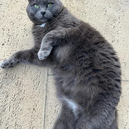 Mar - Parede-cascais Гостевой дом Пареде