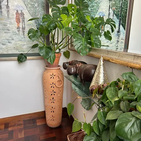 Mar - Parede-cascais Гостевой дом 3*