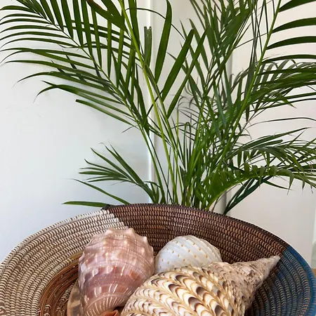 ゲストハウス Mar - Parede-cascais 3*