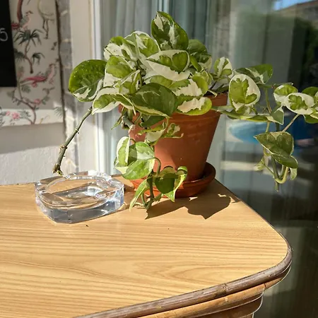 Гостевой дом Mar - Parede-cascais 3*