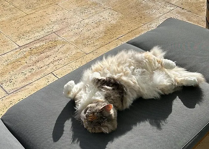 Mar - Parede-cascais ゲストハウス