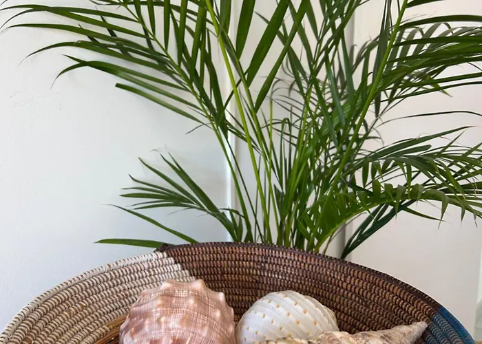 ゲストハウス Mar - Parede-cascais 3*