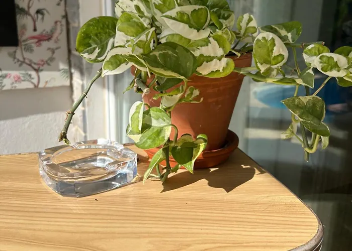 Pensión Mar - Parede-cascais 3*