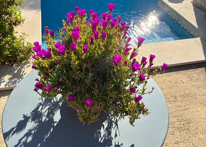 Mar - Parede-cascais 3* Parede